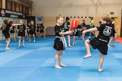 Klub Sportowy Mistral Wojkowice - Kickboxing - Taekwondo - Boks - K1 - Treningi dla dzieci - Sztuki walki